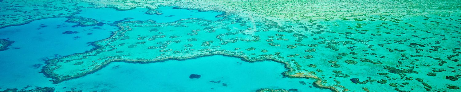 You don't have to spend seven figures just to be close to the amazing Great Barrier Reef.